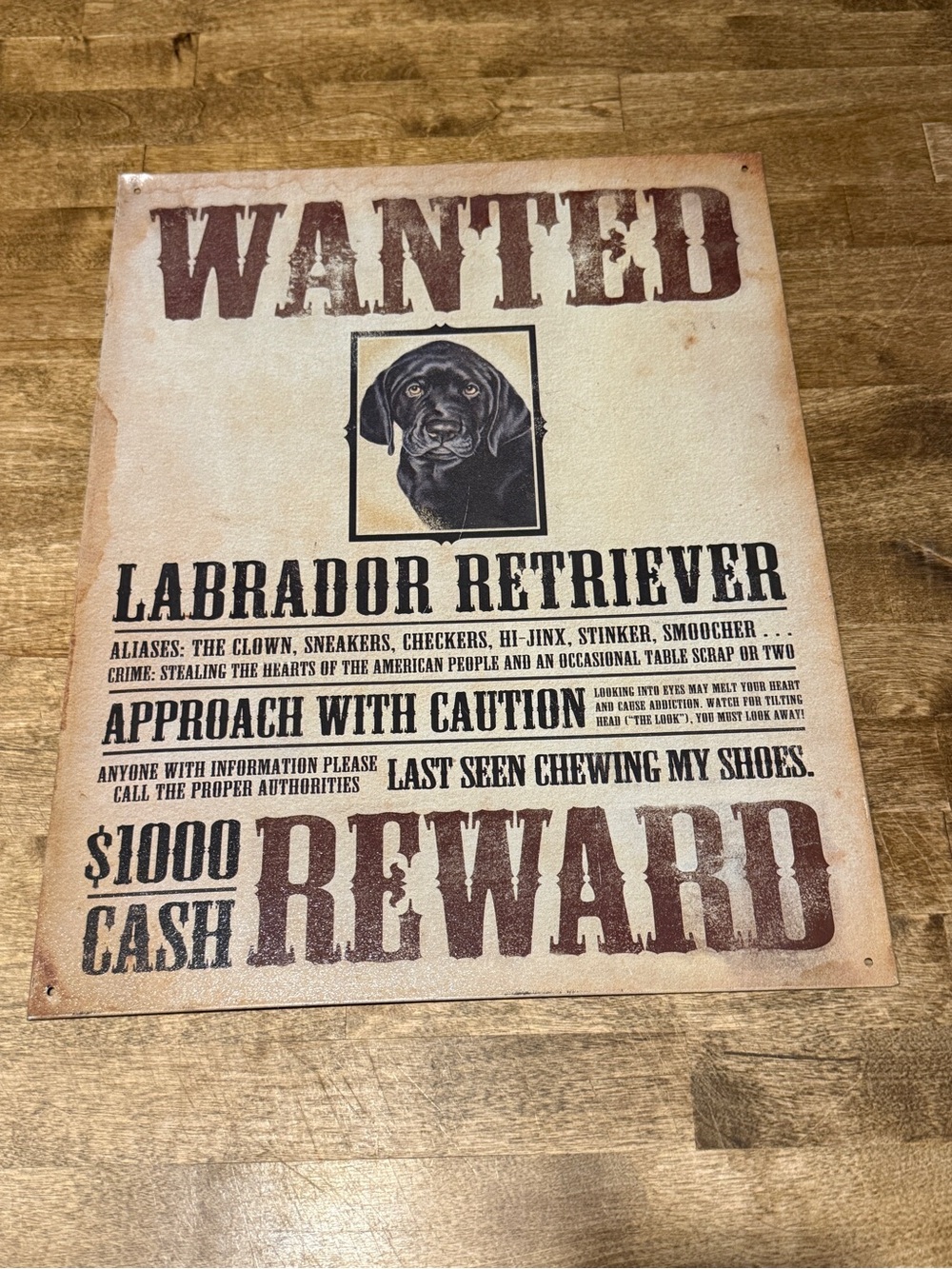 Labrador Retriever Wanted metal Sign - Vintage-Style Dog Sign (Brown, Black)